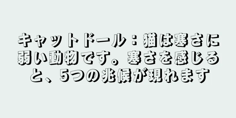 キャットドール：猫は寒さに弱い動物です。寒さを感じると、5つの兆候が現れます