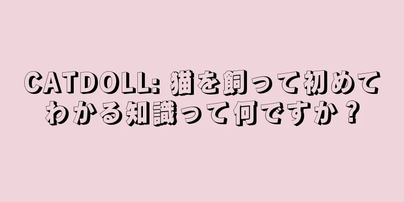 CATDOLL: 猫を飼って初めてわかる知識って何ですか？