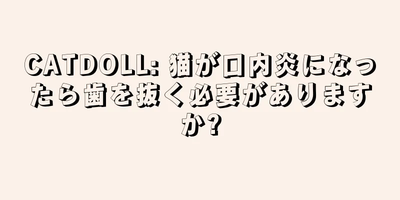 CATDOLL: 猫が口内炎になったら歯を抜く必要がありますか?