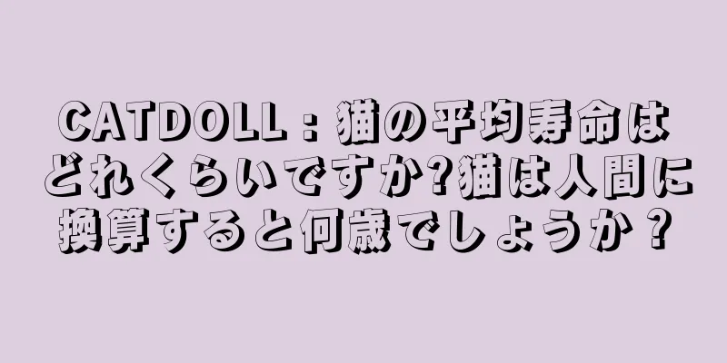 CATDOLL : 猫の平均寿命はどれくらいですか?猫は人間に換算すると何歳でしょうか？
