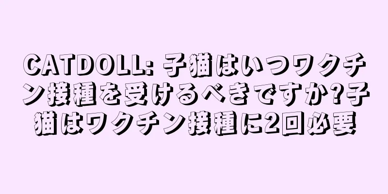 CATDOLL: 子猫はいつワクチン接種を受けるべきですか?子猫はワクチン接種に2回必要