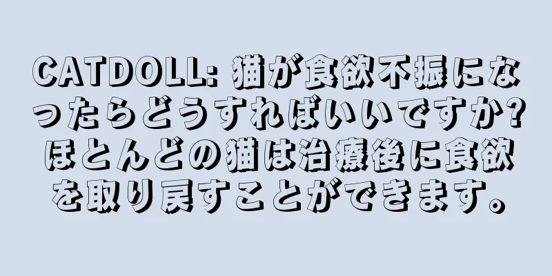 CATDOLL: 猫が食欲不振になったらどうすればいいですか?ほとんどの猫は治療後に食欲を取り戻すことができます。