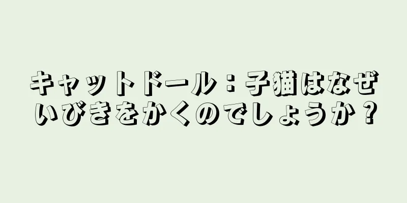 キャットドール：子猫はなぜいびきをかくのでしょうか？