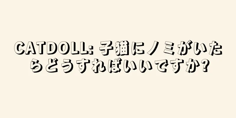 CATDOLL: 子猫にノミがいたらどうすればいいですか?