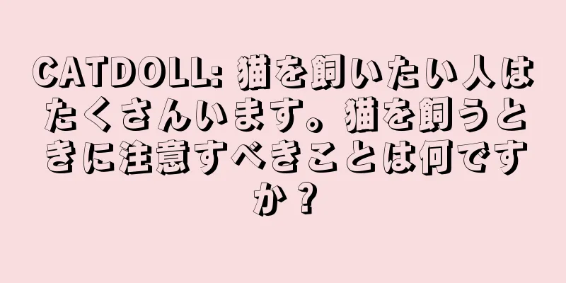 CATDOLL: 猫を飼いたい人はたくさんいます。猫を飼うときに注意すべきことは何ですか？