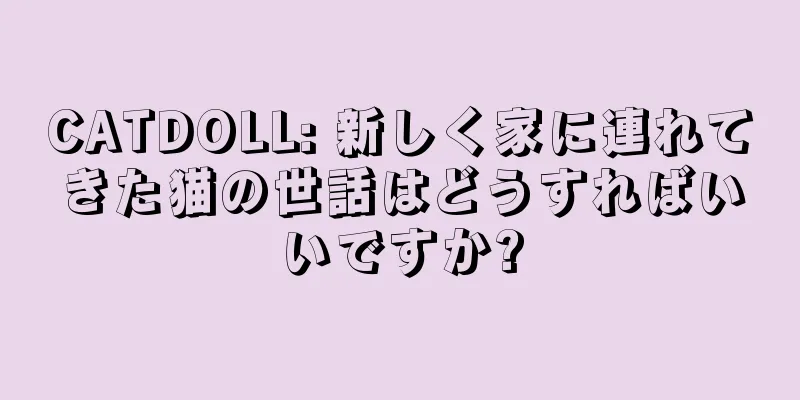 CATDOLL: 新しく家に連れてきた猫の世話はどうすればいいですか?