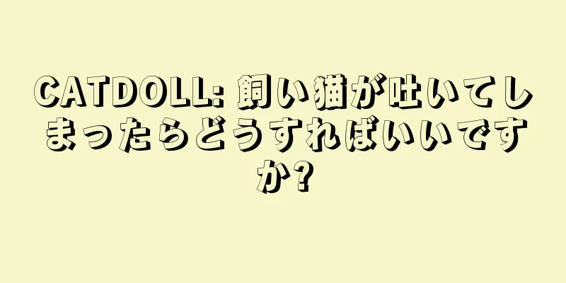 CATDOLL: 飼い猫が吐いてしまったらどうすればいいですか?