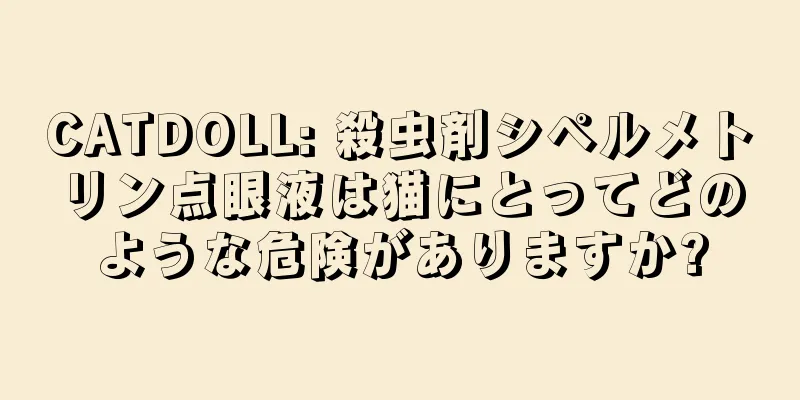 CATDOLL: 殺虫剤シペルメトリン点眼液は猫にとってどのような危険がありますか?