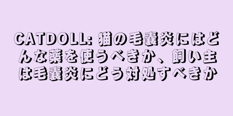 CATDOLL: 猫の毛嚢炎にはどんな薬を使うべきか、飼い主は毛嚢炎にどう対処すべきか