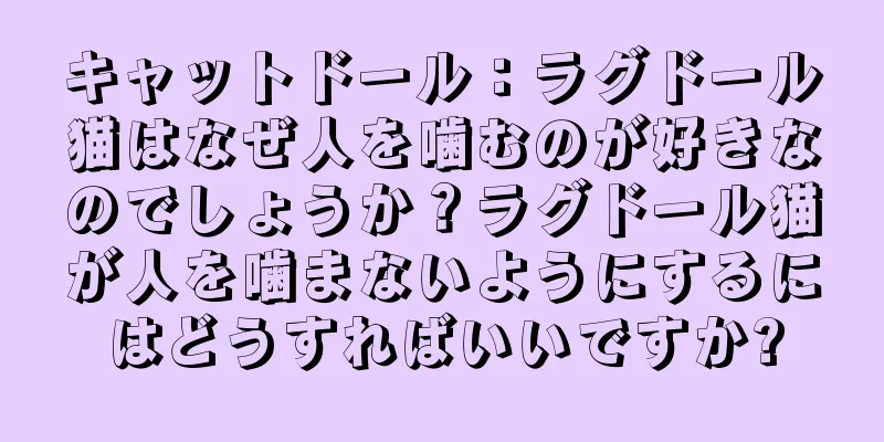 キャットドール：ラグドール猫はなぜ人を噛むのが好きなのでしょうか？ラグドール猫が人を噛まないようにするにはどうすればいいですか?