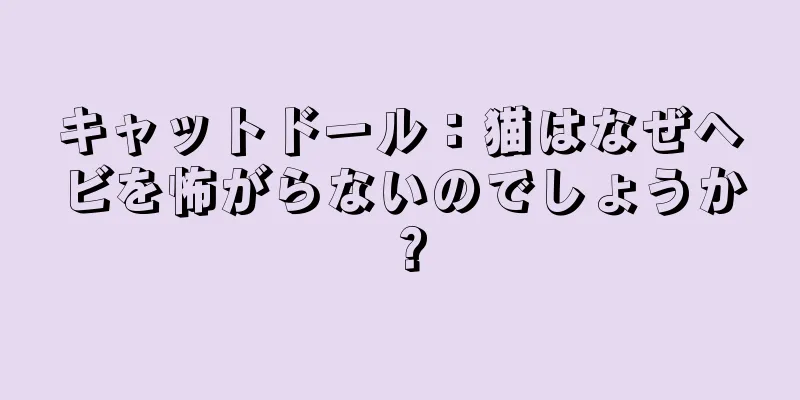 キャットドール：猫はなぜヘビを怖がらないのでしょうか？