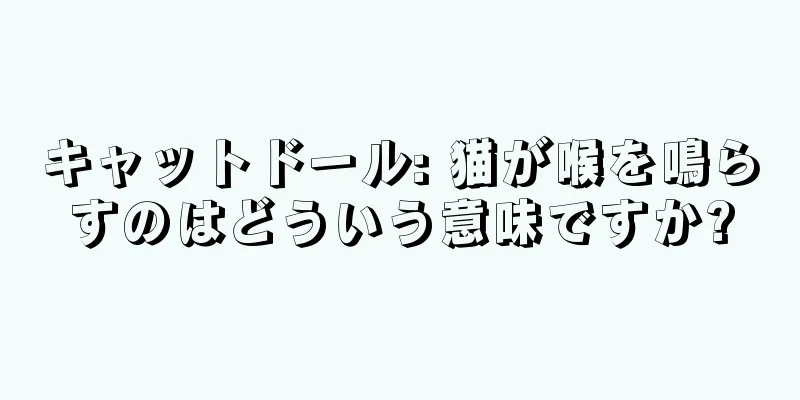 キャットドール: 猫が喉を鳴らすのはどういう意味ですか?