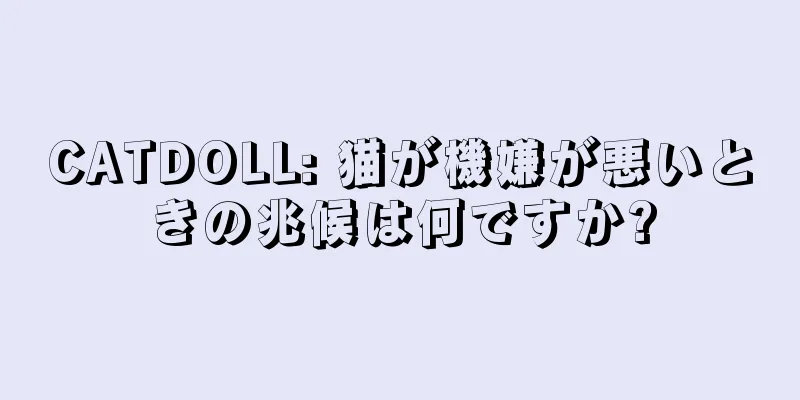 CATDOLL: 猫が機嫌が悪いときの兆候は何ですか?