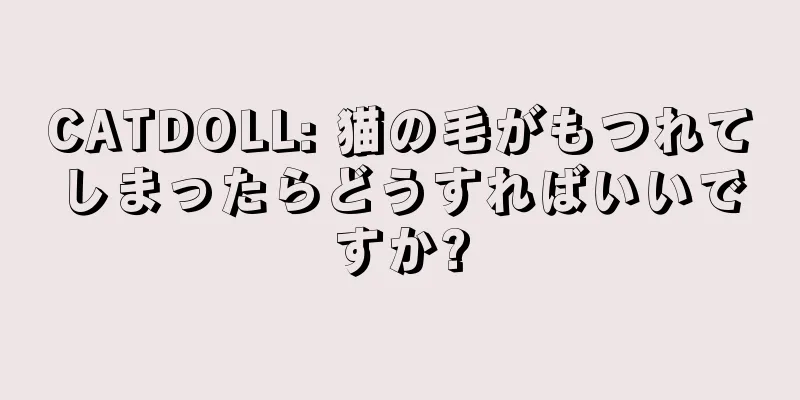 CATDOLL: 猫の毛がもつれてしまったらどうすればいいですか?