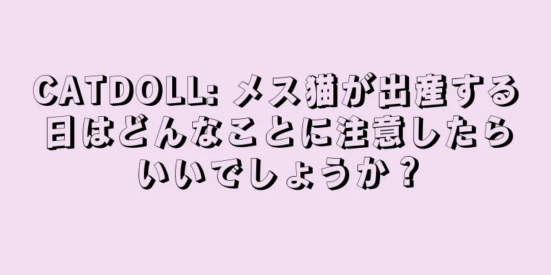 CATDOLL: メス猫が出産する日はどんなことに注意したらいいでしょうか？