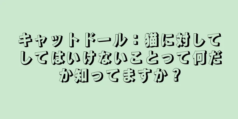 キャットドール：猫に対してしてはいけないことって何だか知ってますか？