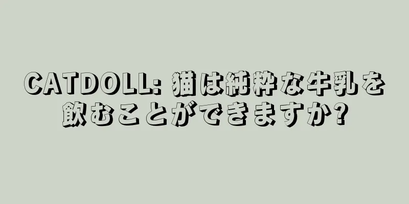 CATDOLL: 猫は純粋な牛乳を飲むことができますか?
