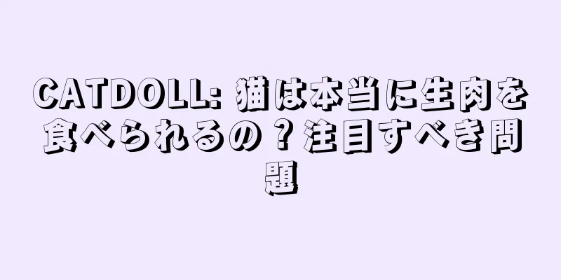 CATDOLL: 猫は本当に生肉を食べられるの？注目すべき問題