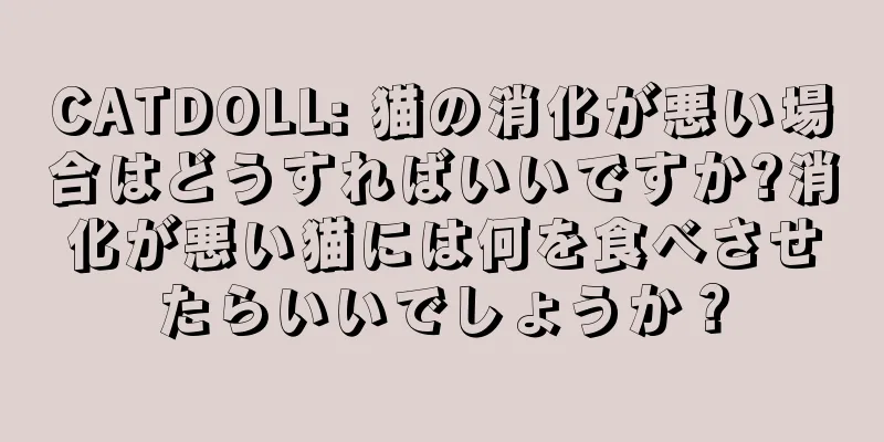 CATDOLL: 猫の消化が悪い場合はどうすればいいですか?消化が悪い猫には何を食べさせたらいいでしょうか？