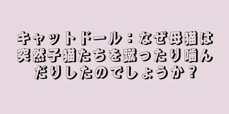 キャットドール：なぜ母猫は突然子猫たちを蹴ったり噛んだりしたのでしょうか？
