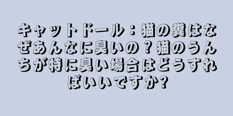 キャットドール：猫の糞はなぜあんなに臭いの？猫のうんちが特に臭い場合はどうすればいいですか?