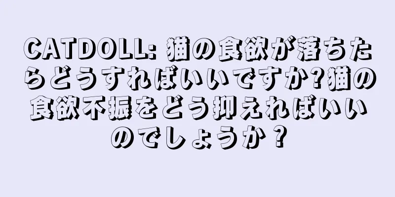 CATDOLL: 猫の食欲が落ちたらどうすればいいですか?猫の食欲不振をどう抑えればいいのでしょうか？