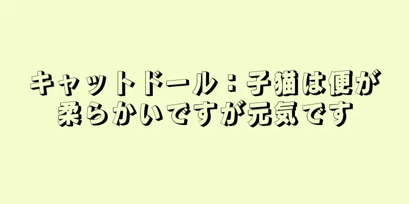 キャットドール：子猫は便が柔らかいですが元気です