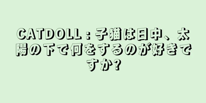 CATDOLL : 子猫は日中、太陽の下で何をするのが好きですか?