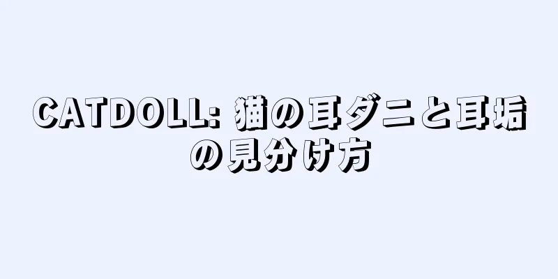CATDOLL: 猫の耳ダニと耳垢の見分け方