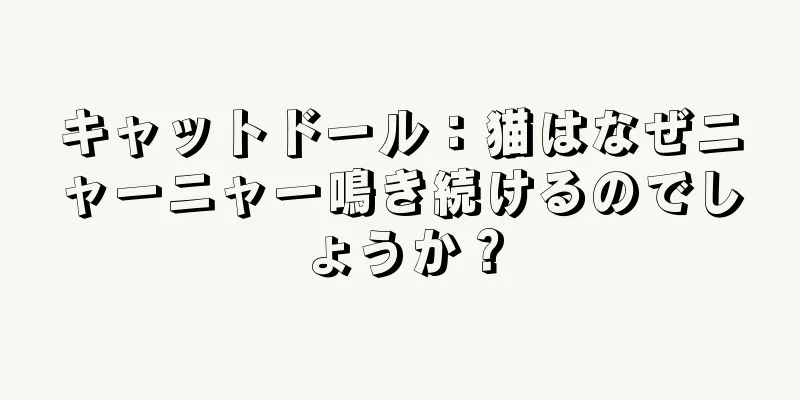キャットドール：猫はなぜニャーニャー鳴き続けるのでしょうか？