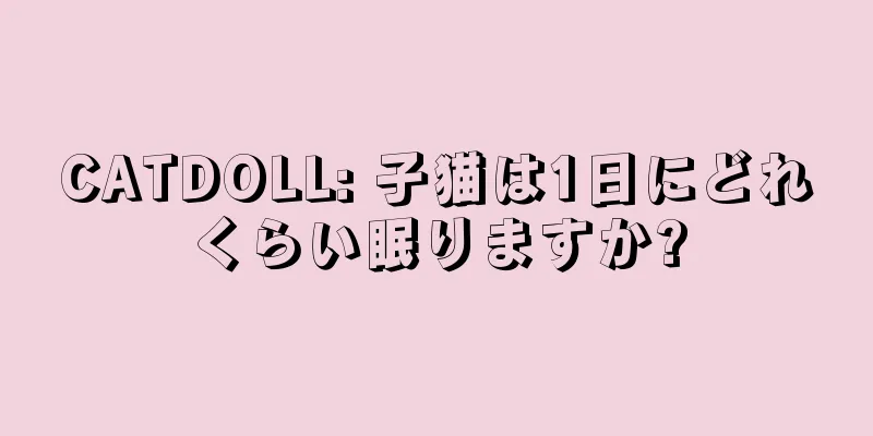 CATDOLL: 子猫は1日にどれくらい眠りますか?