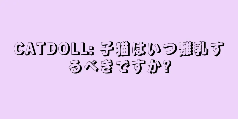 CATDOLL: 子猫はいつ離乳するべきですか?