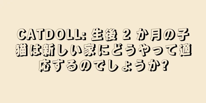 CATDOLL: 生後 2 か月の子猫は新しい家にどうやって適応するのでしょうか?