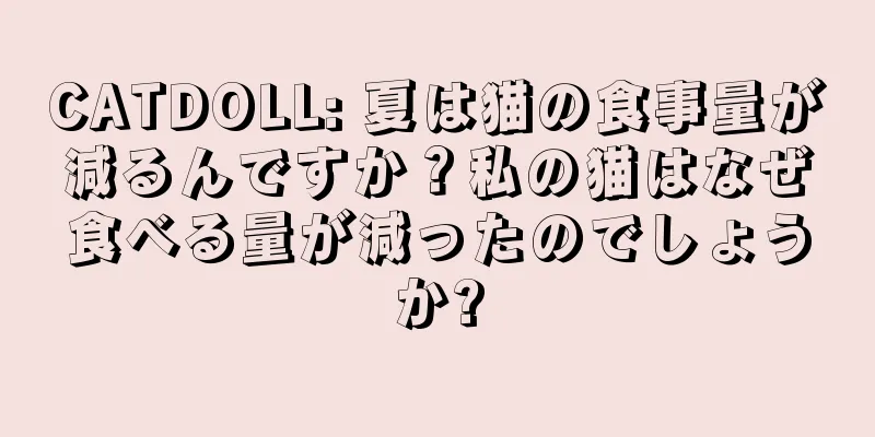 CATDOLL: 夏は猫の食事量が減るんですか？私の猫はなぜ食べる量が減ったのでしょうか?