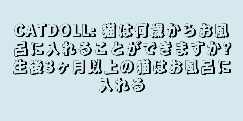 CATDOLL: 猫は何歳からお風呂に入れることができますか?生後3ヶ月以上の猫はお風呂に入れる