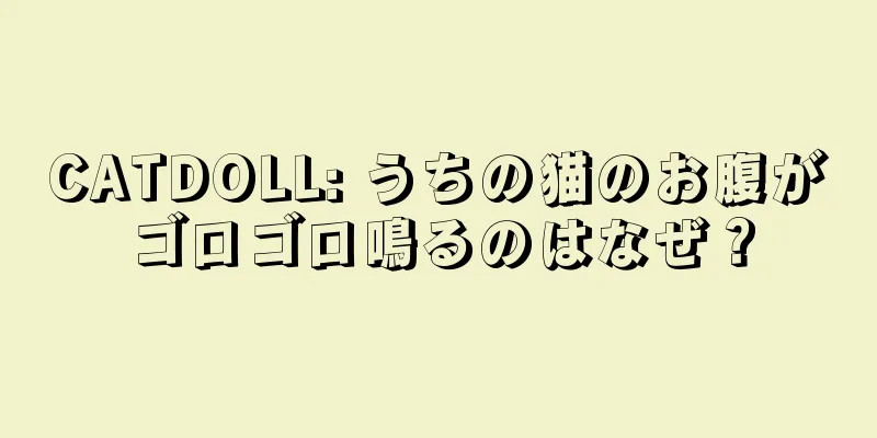 CATDOLL: うちの猫のお腹がゴロゴロ鳴るのはなぜ？