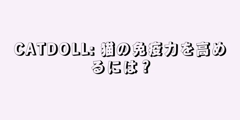 CATDOLL: 猫の免疫力を高めるには？