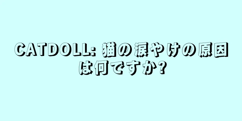 CATDOLL: 猫の涙やけの原因は何ですか?