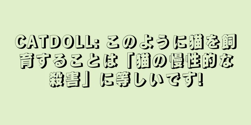 CATDOLL: このように猫を飼育することは「猫の慢性的な殺害」に等しいです!