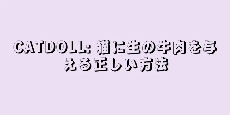 CATDOLL: 猫に生の牛肉を与える正しい方法
