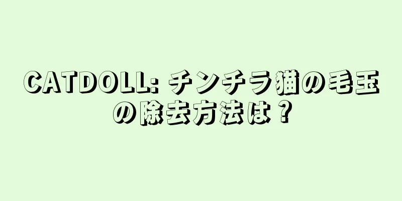 CATDOLL: チンチラ猫の毛玉の除去方法は？