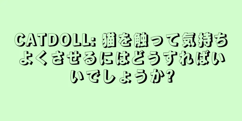 CATDOLL: 猫を触って気持ちよくさせるにはどうすればいいでしょうか?