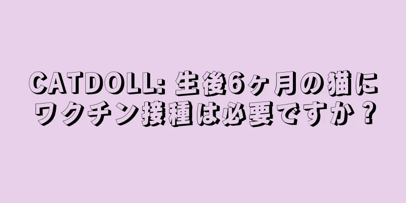 CATDOLL: 生後6ヶ月の猫にワクチン接種は必要ですか？