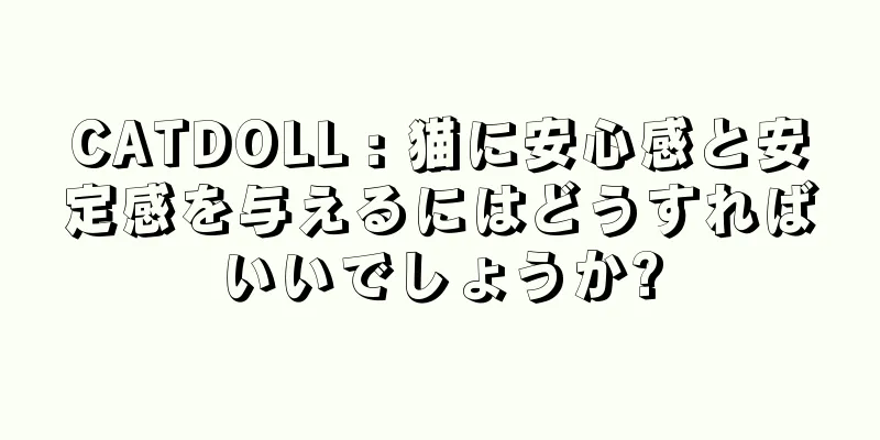 CATDOLL : 猫に安心感と安定感を与えるにはどうすればいいでしょうか?