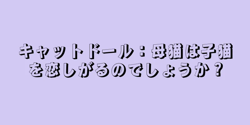 キャットドール：母猫は子猫を恋しがるのでしょうか？