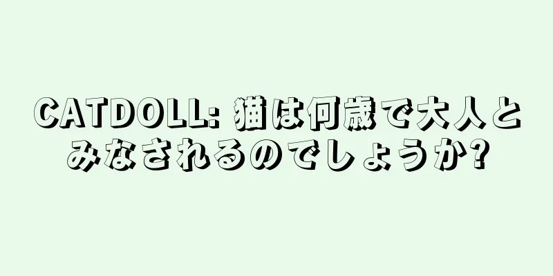 CATDOLL: 猫は何歳で大人とみなされるのでしょうか?