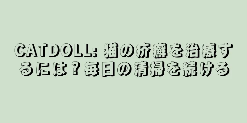 CATDOLL: 猫の疥癬を治療するには？毎日の清掃を続ける