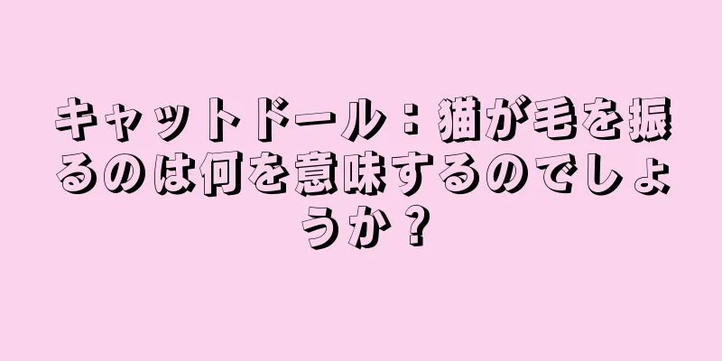 キャットドール：猫が毛を振るのは何を意味するのでしょうか？