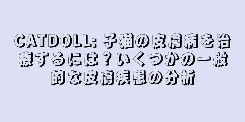 CATDOLL: 子猫の皮膚病を治療するには？いくつかの一般的な皮膚疾患の分析