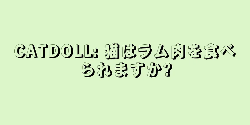 CATDOLL: 猫はラム肉を食べられますか?